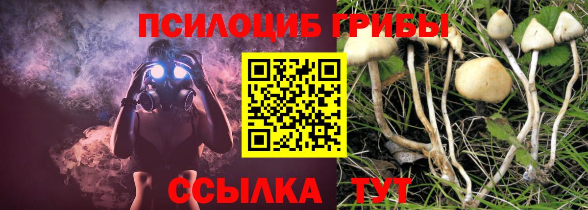 Псилоцибиновые грибы Cubensis  Вход с VPN  Белая Калитва  Галлюциногенные грибы Cubensis 